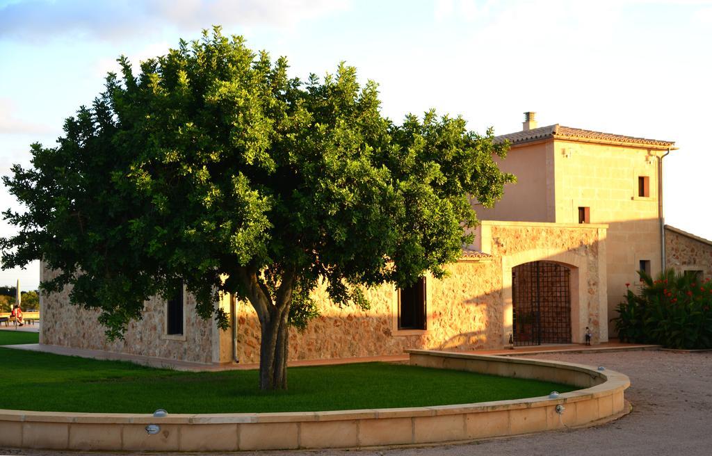 מלון לןקמאג'ור Finca Sol Y Vida - Agroturismo Son Sampoli מראה חיצוני תמונה
